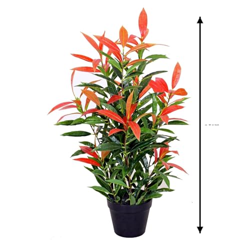 Künstliche Glanzmispel PHOTINIA ca. 80 cm hoch Kunstpflanzen künstliche Pflanzen JWS2641 – Bild 3