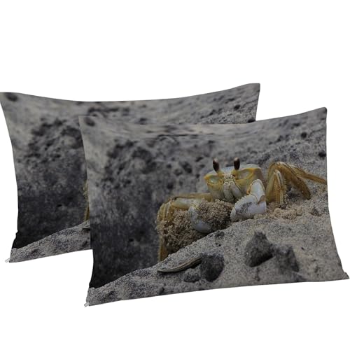 Housse de couette 200x200 plage pour une chambre ambiance bord de mer - 8