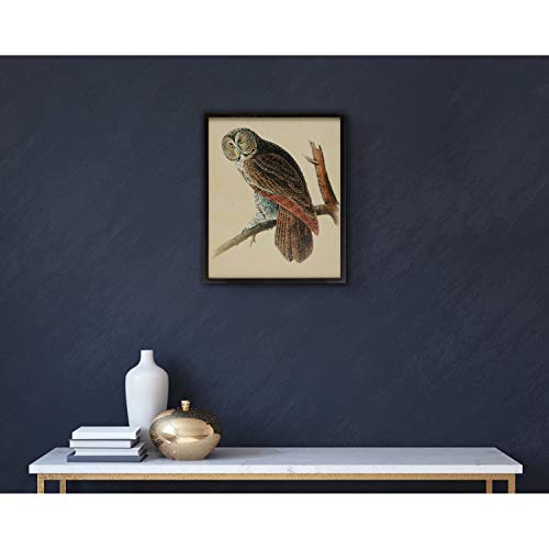 Creative Co-Op Wood Framed Vintage Reproduction Owl Image Wall Décor, Multi Color #TOP5