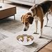 Pssopp Slow Down Eating Dog Bowl, Wide Aperture Comfortable Eating Anti Fall Stainless Steel Anti Choking Slow Feeder Dog Bowl for Fast Eaters (Puppy Pattern)