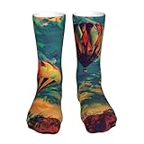 OIBNKCN Hot air balloons Compression Socks-Fashionable and Comfortable, For Indoor & Outdoor Activities, Breathable & Durable