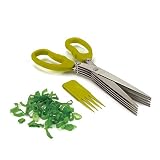 BYTAN Ciseaux à Herbes Ciseaux 5 Lames Ciseau Multilames Ciseaux Herbes Fines Aromatiques Cuisine Inox avec Étui Peigne de Nettoyage pour Persil Ciboulette Thym Basilic (Vert)