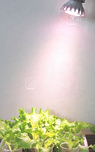 植物育成ledライトのおすすめ人気ランキング17選 おしゃれで便利 ランク王