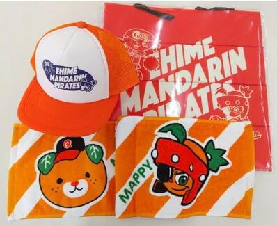[愛媛県共通返礼品]愛媛マンダリンパイレーツ応援3点セット