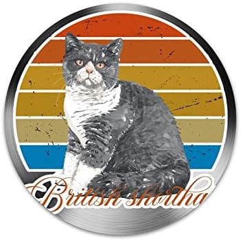 Vintage Style Round British Shorthair,Animal,Cat,Cartoon,PNG,Retro,Vintage,Sunset,Colorful Distressed Background,Vivid,Funny,Cute,Lovely,Rainbow,Art Font,Monogram,Calligraphy,Drawn,Round,Watercolor Welcome Door Sign Welcome Sign Home Wreath Sign Metal Decor Sign Wall Decor Door Plaque Tin Sign 12"x12"