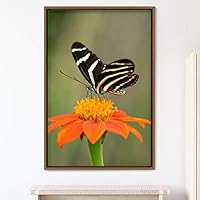 Framed Canvas Wall Art Butterfly Expressive Farmhouse/Country Home Office Insects Lake Multicolor Photography - 16x24 inches