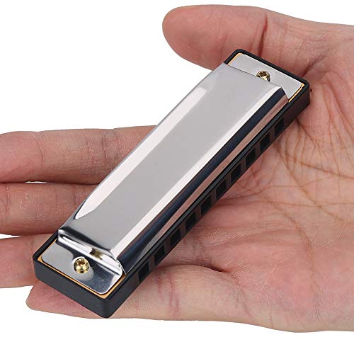 Harmonica, 10 Hole Metal Harmonica, Blue Rock Jazz Folk Harmonicas, Suitable For Beginner, Adults, Children's Gift (Silver) #TOP4