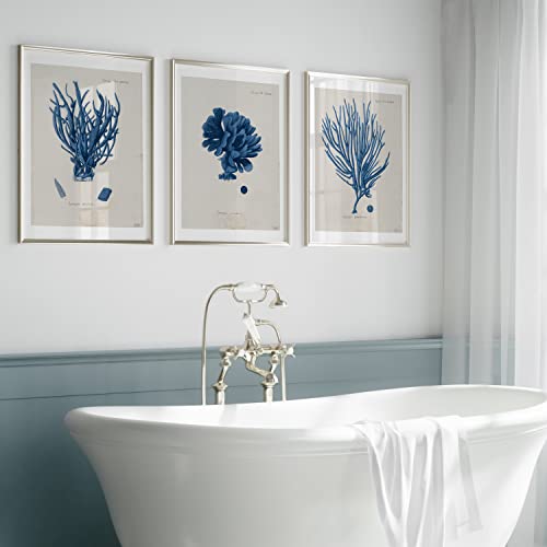 Vintage Wall Art Coral Study Prints | Antique Boho Minimalist Artwork Beach Theme Home Decor For Bedroom, Living Room, Bathroom, House Or Office Wall Decor | Set Of 4 Unframed Pictures (11X14, Indigo) #TOP4