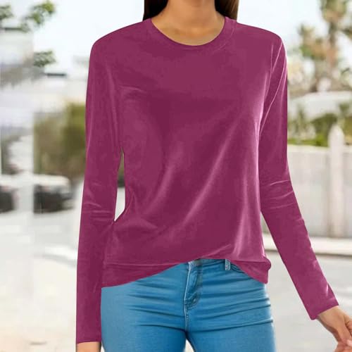 DASAYO Velvet Tops for Women Crewneck Long Sleeve Velour Shirt Ladies Dressy Casaul Blouses Fall Fashion2