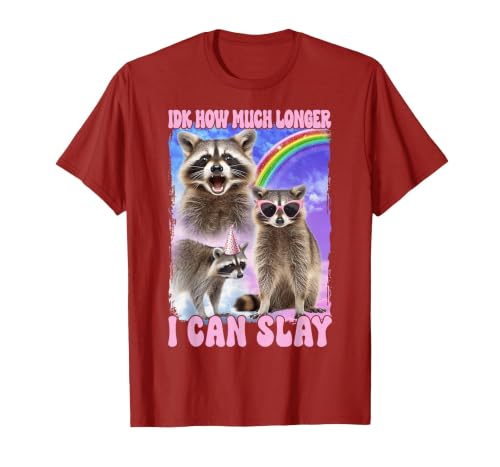 IDK How Much Longer I Can Slay Meme Raccoon Funny T-Shirt, Men, Cranberry Red, XX-Large