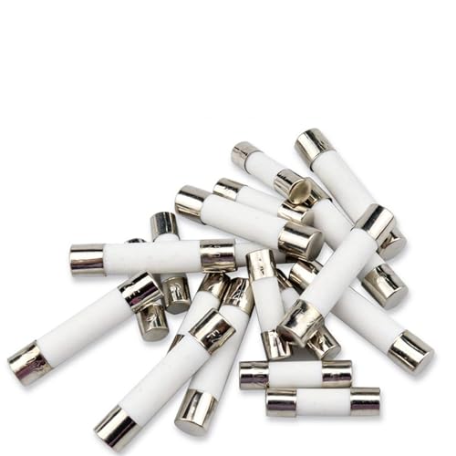 5*20 �~�����[�g���`���[�u�q���[�Y 250V 100MA 200MA 300MA 8A 10A 12A 15A 20A 25A 30A AMP �q���[�Y�Z���~�b�N 10 ��(0.8A)