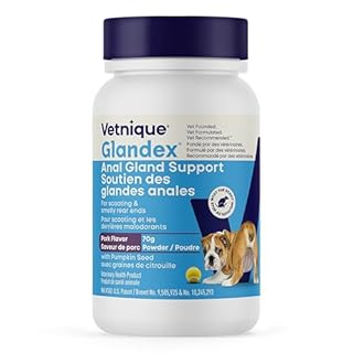 Glandex Dog & Cat Anal Gland Fiber Supplement Powder with Pumpkin & Digestive Enzymes – Vet Recommended Healthy Bowels & Digestion - Boot The Scoot (Pork Liver, 70g)