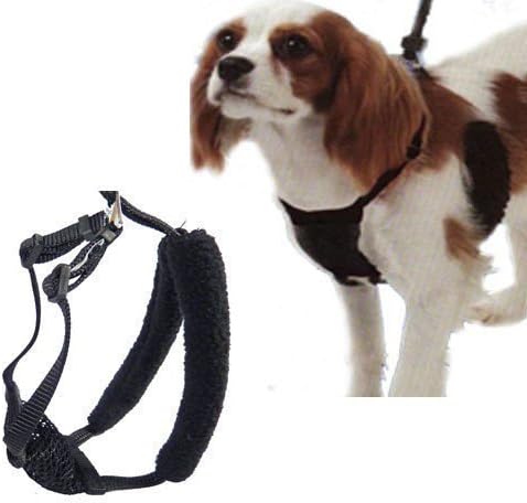 Medium Black Anti Pull Mesh Dog Harness Neck Sizes 10"-16"