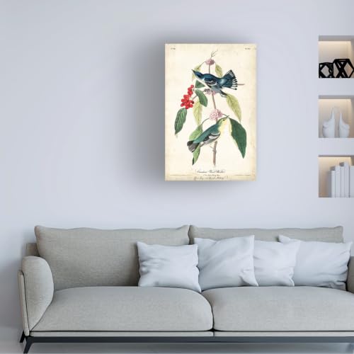 Trademark Fine Art - 'Cerulean Wood Warbler' Canvas Art - 19x12 by Trademark Fine Art - Used condition - Image 3
