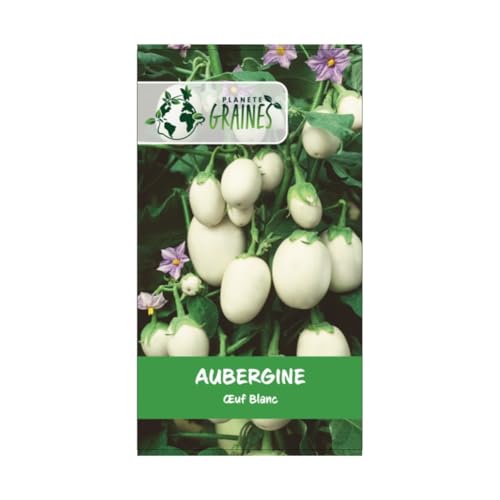 50 graines graines de aubergine oeuf blanc - légume à fruits ovales - variétés ancienne