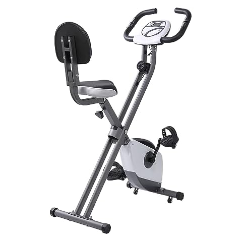 Panana Foldable Exercise Bike with LCD Display Cover