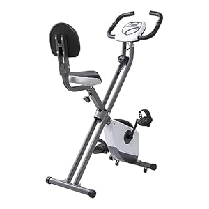 Panana Foldable Exercise Bike for Home, X-Bike Folding Fitness Bike with Magnetic Resistance, Quiet Indoor Cycling Bike for Small Spaces, LCD Display, Heart Rate Sensor, Adjustable Seat
