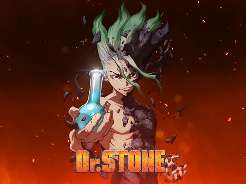Dr. Stone