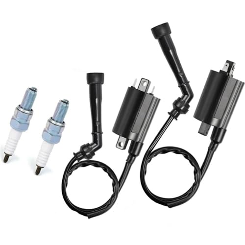Bobines d'allumage gauche droite et capuchon de bougie VS800 VS750 33420