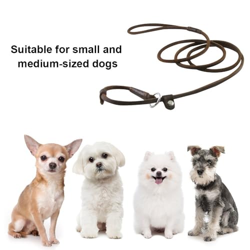 2-in-1 Hundeleine, 1,5m/5ft Leder Retrieverleine mit Zugstopp, Einstellbar Retriever Leinen mit Halsband für Hunde mit Gewicht von etwa bis 10 kg geeignet