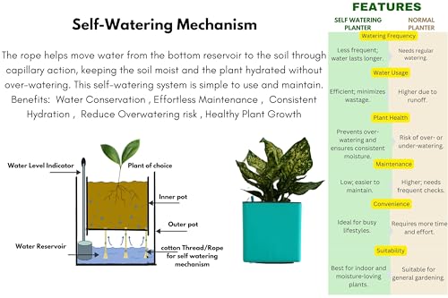 Image of Indian Discovery Self Watering Tabletop Planter| Flower Pots for Home, Terrace, Balcony, Vertical Garden Decor Flower Pots(1 PC, Peacock Green, Square) |6 Inch UV-Resistant Plastic Plant Pots