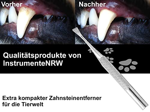 Mini Hunde Zahnsteinkratzer Einseitig Zahnpflege Zahnreiniger für Haustiere Tiere Zahnbürsten-Alternative aus Edelstahl Auch für Katzen oder Nager Zahnreinigung Zahnsteinentferner
