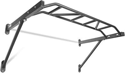 Titan Fitness HD Multi-Grip Wall Mounted Pull-Up Bar, 48