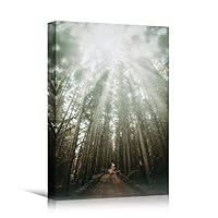 Canvas Wall Art Green Forest Dramatic Forest Landscape Living Room Multicolor Photography Rustic - 12x18 inches