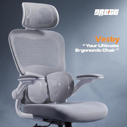 Image of DROGO Vesby Ergonomic Office Chair for Work with Dual Adaptive Lumbar Support | Breathable Mesh Computer Chair with 3D Headrest & Armrest | Gaming Chair with 135 Recline, 1-Yr Warranty(LightGrey)