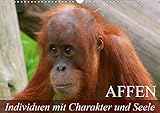 VIELFALT - Mit über 25.000 verschiedenen Kalendern bietet der CALVENDO Verlag für jeden Geschmack das richtige Produkt. Zudem sind die Kalender meist in den Formaten DIN A5, DIN A4, DIN A3 sowie DIN A2 verfügbar. Der ideale Kalender für Ihr Wohnzimmer, Schlafzimmer, Küche, Esszimmer sowie für Kinderzimmer.