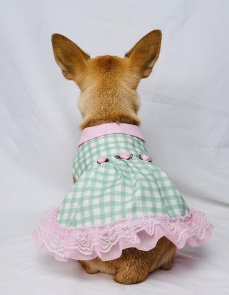 mint green dog dress Fashion Simple Mint Green Pet Dog Clothes Fine... From Haven1, Rs.768.75