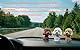Fontee Auto Nette Nicken Schütteln Kopf Hund Puppe Verzierungen Auto Interieur Innendekoration Bobblehead Wackelkopf Dashboard Dekoration (Teddy Weiß)