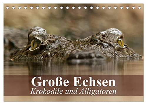 Große Echsen. Krokodile und Alligatoren (Tischkalender 2026 DIN A5 quer), CALVENDO Monatskalender: Die letzten und furchteinflößenden Ur-Echsen unseres Planeten (CALVENDO Tiere)