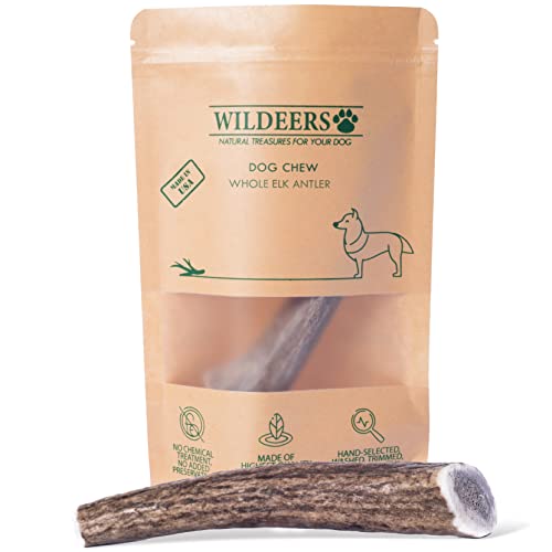 Top 10 Best Elk Antler For Dogs [Top Picks 2023 Reviews]