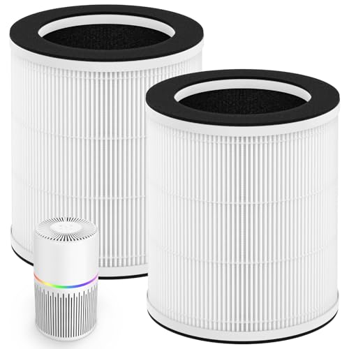 FRESHDEW AP202 H13 HEPA Filter 2-Pack