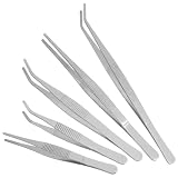 JECOMPRIS Set di 5 Pinzette in Inossidabile per Piccole Piante e Muschio Utensili Facili da Usare per Giardinaggio Interno e Orto