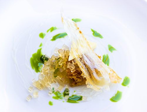 Special Ingredients Modern Gastronomy Kit (Ultimate Molecular Gastronomy and Modernist Cuisine Kit)