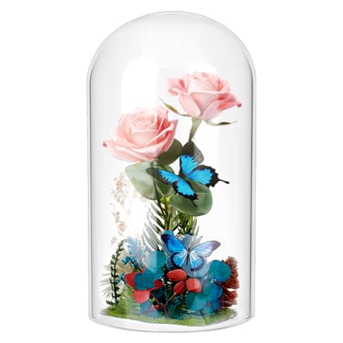 PH PandaHall 17x10cm Cupola di Vetro Campana di Vetro per Candele, Mini Espositore a Cupola per Gioielli Protezione Antica Conservazione Dessert Centrotavola di Natale, Nessuna Base