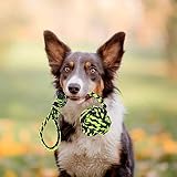 Golden Pets Hundespielzeug 4-teiliges Set I Ideal für kleine bis mittelgroße Hunde und Welpen I Aus natürlichen hochwertigen Baumwollfasern I + Gratis Pflegehandbuch