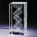 Mini DNA Science Crystals