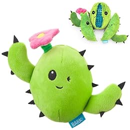 Barkbox 2 in 1 Interactive Plush Dog Toy - Rip and Reveal Toy for Dogs and Puppies - Stimulating Squeaky Pet Toys | Consuela Cactus (Small)