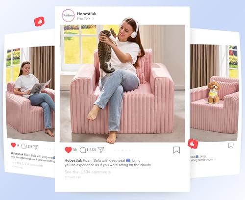 Image of Hobestluk Single Sofa Foam Couch Sofa for Small Spaces Comfy Sofas with Removable Cover Furry Couch with Pillows for Living Room, Bedroom, Apartment, Office (Pink, Standard)