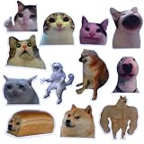 Funny Magnets, Fun Cute Cool Meme Phrase Quote Word Magnet Set for Adults; Applicable on Fridge, Refrigerator & Car with Jesus I Saw That, it’s fine cat & Dog Gifts (B)