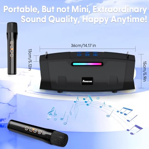 Pemacom PM01 Portable Karaoke Machine thumb #8