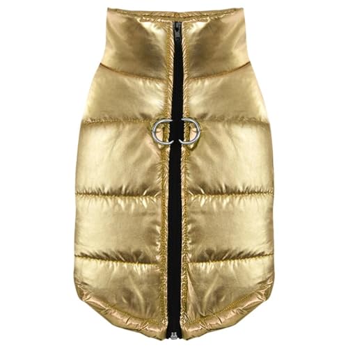Veste d'extérieur imperméable pour chien pour protéger votre compagnon - 2