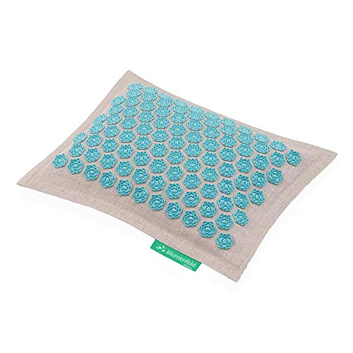 Preisvergleich Produktbild Blumenfeld Akupressur Kissen (natur türkis)