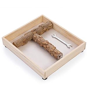 Kintor - Supporto per uccelli da tavolo, portatile, per pappagalli di piccole dimensioni e medie - immagine 3