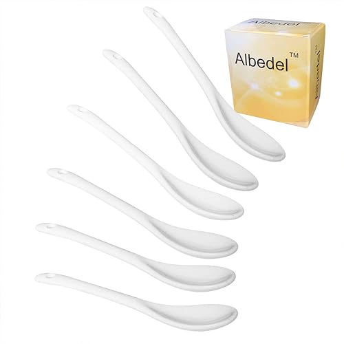 Albedel 6 cucharas de porcelana para huevo, cucharas de cerámica de 5.0in, café postre yogur té lechoso