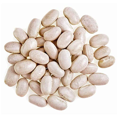 Food to Live Organic Great Northern Beans, 5 Pounds - Dried, Non-GMO, Kosher, Sproutable, Bulk Seeds, Product of the USA