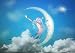 OEFMAF Adulti 1000 Pezzi Puzzle -Sirena -Puzzle Adulti ,Giocattoli Educativi ，Puzzle Impegnativi,Regalo di Compleanno per Amore E Amicoperdimensione:70X50Cm